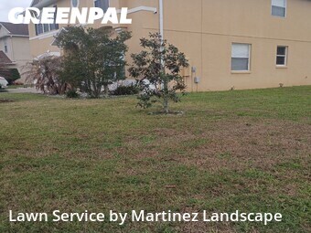 Lawn Cut nearby Clermont, FL, 