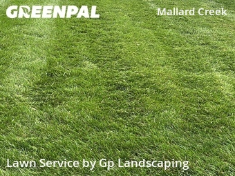 Lawn Mow nearby Charlotte, NC, 