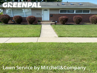 Lawn Mow nearby Clinton Township, MI, 