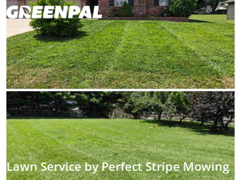 Lawn Maintenance nearby Battlefield, MO, 