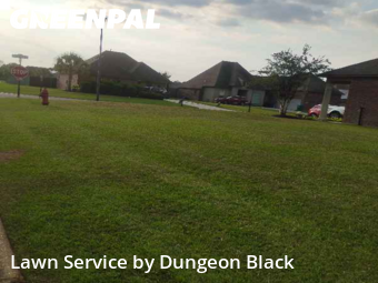Lawn Care Service nearby Denham Springs, LA, 