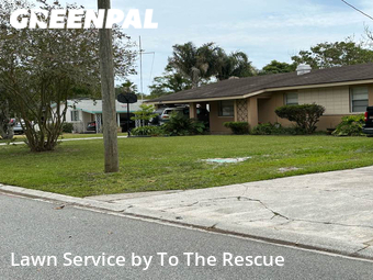 Lawn Cutting nearby Jacksonville Beach, FL, 