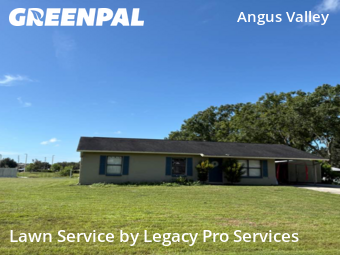 Yard Mowing nearby Zephyrhills, FL, 