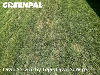 Lawn Maintenance nearby Austin, TX, 