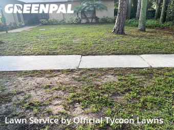 Grass Cutting nearby Port Orange, FL, 