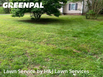 Yard Cutting nearby Charlotte, NC, 