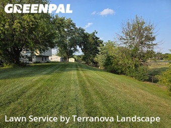 Yard Mowing in Bloomingdale, 60108, Backyard Mowing by Terranova Landscape, work completed in Nov , 2025