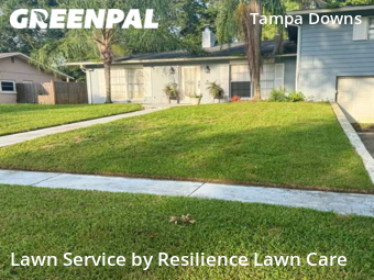 Lawn Cut nearby Wesley Chapel, FL, 