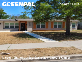 Yard Cutting nearby San Antonio, TX, 