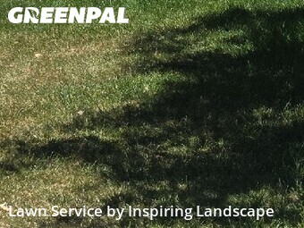 Lawn Service nearby Colorado Springs, CO, 