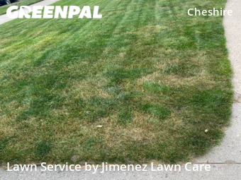 Yard Cutting nearby Grand Rapids, MI, 