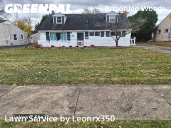 Lawn Maintenance nearby Youngstown, OH, 