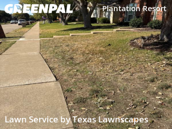 Landscaping In Frisco,75035,Landscaping Services by Texas Lawnscapes, work completed in Dec , 2025