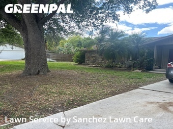 Grass Cutting nearby Sarasota, FL, 