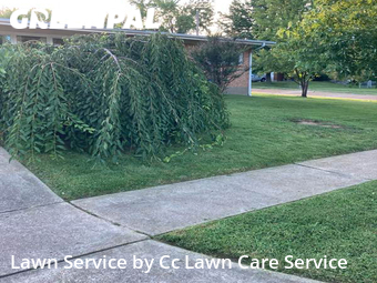 Lawn Care nearby Overland, MO, 