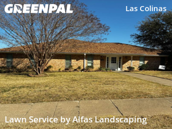 Lawn mowed in Irving, 75038