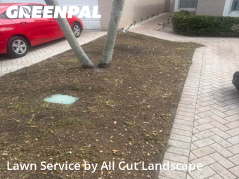 Grass Cut nearby Sunrise, FL, 