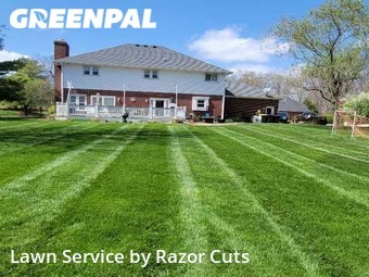 Yard Cutting nearby Indianapolis, IN, 