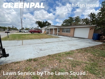 Grass Cut nearby Holiday, FL, 