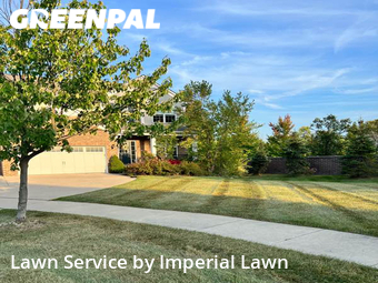 Grass Cut nearby Canton, MI, 