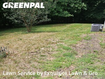 Lawn Mowing nearby Bowie, DC, 