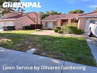 the-yard-cutting-businesses-in-Los Angeles-CA