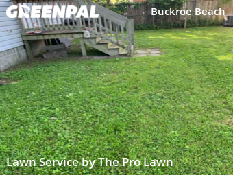 Lawn Service nearby Hampton, VA, 