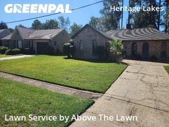 Lawn Management in Pensacola, 32506, Yard Maintenance by Above The Lawn, work completed in Nov , 2025