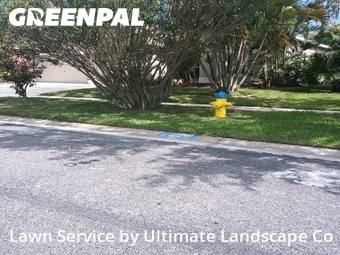 Yard Cutting nearby Ruskin, FL, 