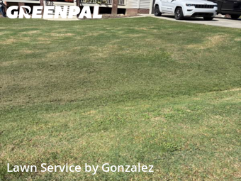Lawn Maintenance nearby Smithfield, NC, 