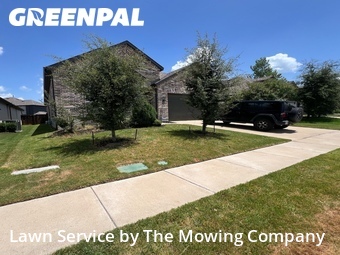 Grass Cut nearby Heath, TX, 