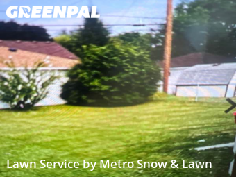 Lawn Cutting nearby Eastpointe, MI, 