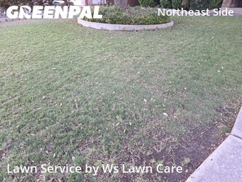 Lawn Cut nearby Schertz, TX, 