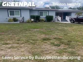 Yard Cutting nearby St. Petersburg, FL, 
