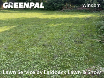 Lawn Maintenance nearby Minneapolis, MN, 