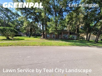 Grass Cut nearby Jacksonville, FL, 