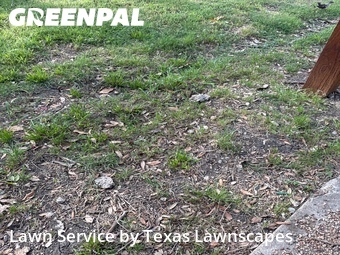 Yard Cutting nearby The Colony, TX, 