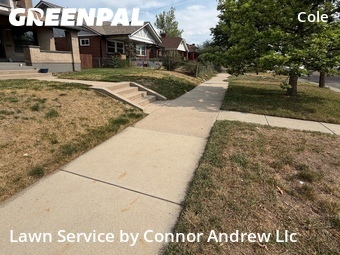 Lawn Mow nearby Denver, CO, 