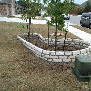 affordable-grass-cutting-businesses-in-Round Rock-TX