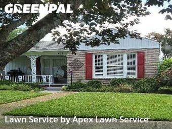 Lawn Cut nearby Johnson City, TN, 