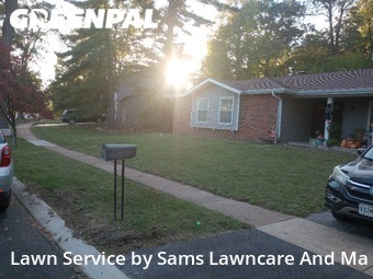 Lawn Cutting nearby St. Louis, IL, 
