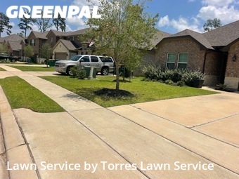 Yard Cutting nearby Conroe, TX, 