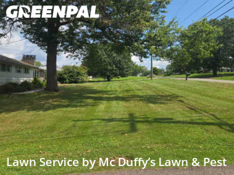 Lawn Cut nearby Knoxville, TN, 