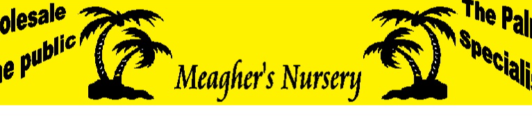 Best Nursery in West Palm Beach Florida 4