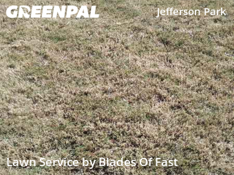 Lawn Care nearby Atlanta, GA, 