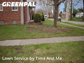 Lawn Cut nearby Dearborn Heights, MI, 