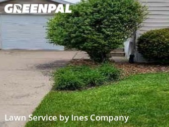 Lawn Mow nearby Matteson, IL, 