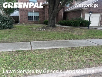 Yard Mowing nearby Houston, TX, 