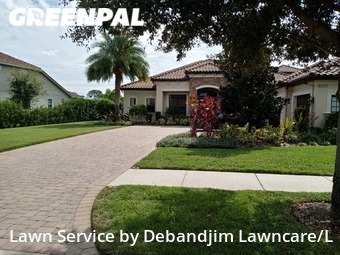 Grass Cut nearby Tampa, FL, 