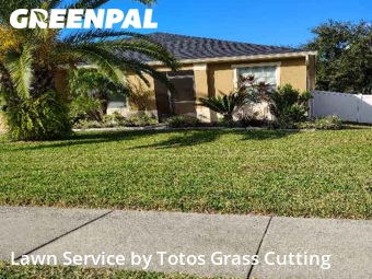 Lawn Mow nearby Apopka, FL, 